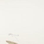White Spaghetti Jelly Kitten Heeled Sandal