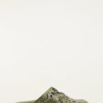 Green Lace Leather Anatomic Slide Mule
