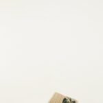 Raffia Farm Hotel Embroidered Slide Sandal