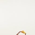 Shell Flat Sandal