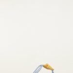 Shell Flat Sandal